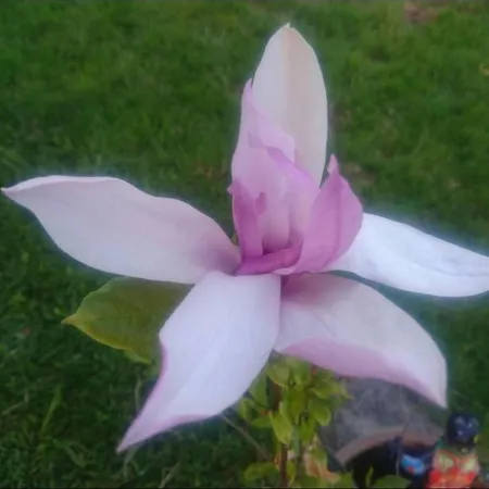 Appartement Wellness Oase By Interhome Rüeggisberg