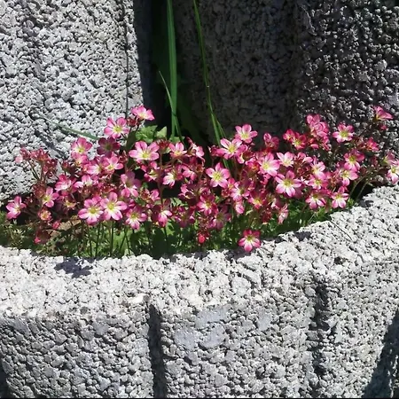 Appartement Wellness Oase By Interhome *