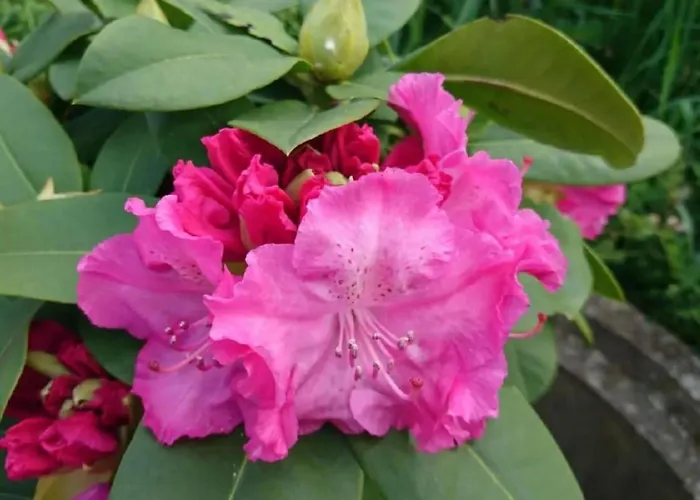 Wellness Oase By Interhome