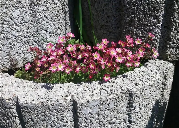 公寓 Wellness Oase By Interhome *