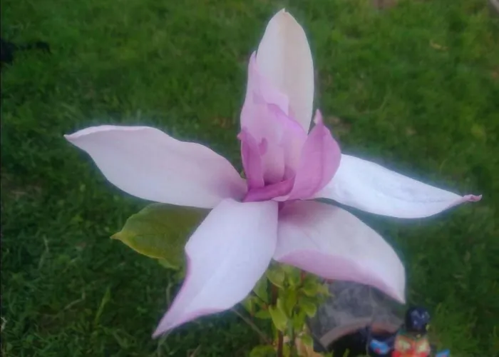 شقة Wellness Oase By Interhome Rüeggisberg